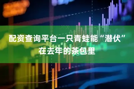 配资查询平台一只青蛙能“潜伏”在去年的茶包里