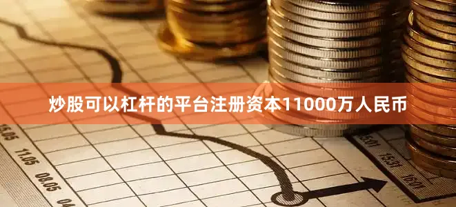 炒股可以杠杆的平台注册资本11000万人民币